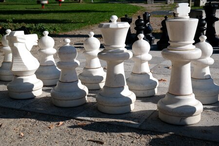 Playing field chess chess board photo