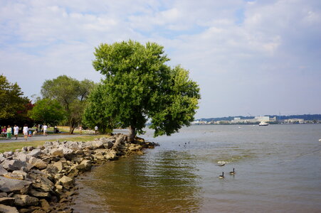 Waterfront Park - Old Town Alexandria photo