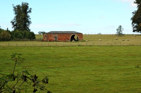 Sheep Farm photo