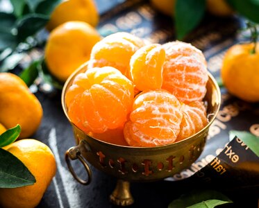 Beautiful Photo food fresh