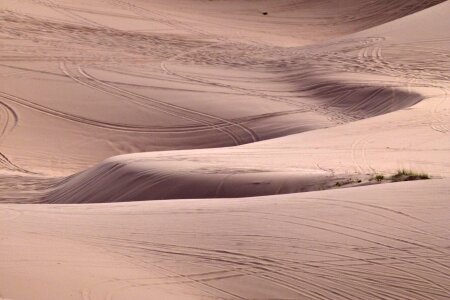 Windblown Sand Dune