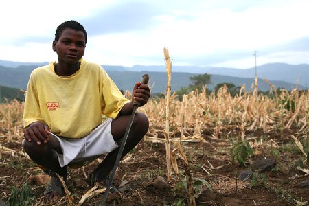 Bearing Ethiopia 