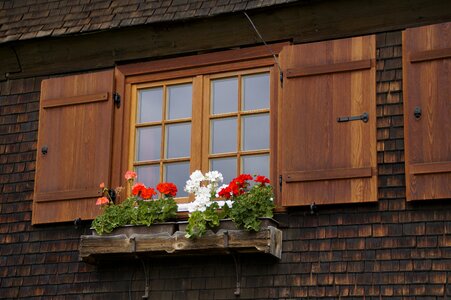 Shutters wood woods photo