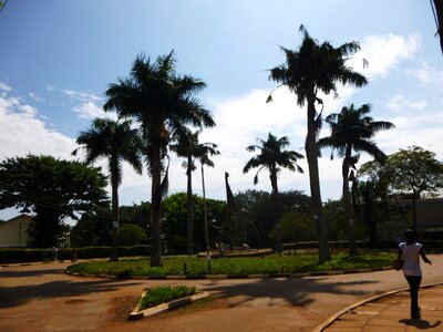 Cityscape trees women photo