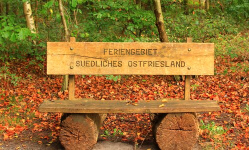 Nature autumn rest