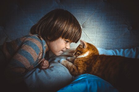Animal fur young