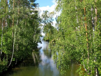 Stream with Lake photo