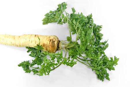 Groceries organic parsley