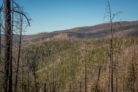 Area of Gila National Forest burned by Whitewater Baldy fire of 2012-1