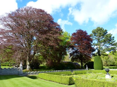 United kingdom garden english photo