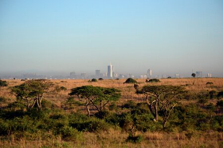 Kenya africa cityscape savanna