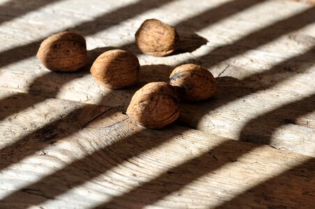 Delicious wood floor light and shadow photo