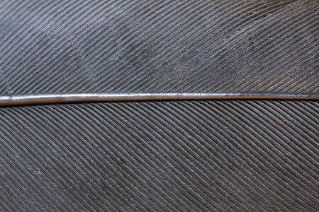 Steel spring grey close up