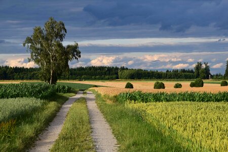 Agriculture beautiful photo cloud