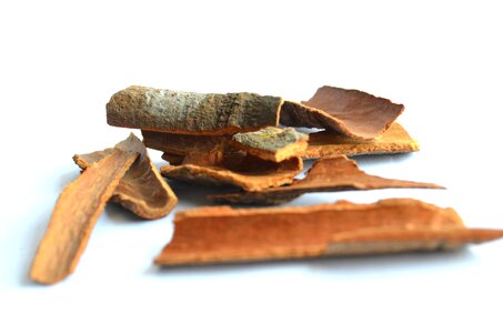 Bark brown close