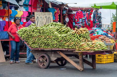 Vendor selling fresh bananas in Maracaibo Venezuela photo