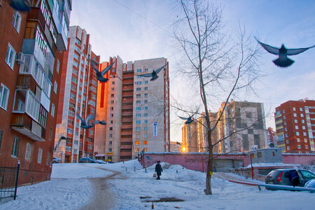 courtyard photo