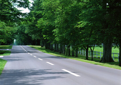 rural road in japan