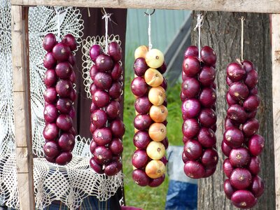 Food healthy violet