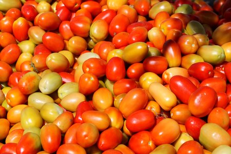 Tomato vegetables fruit