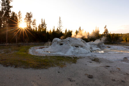Grotto Geyser in Yellowstone National Park