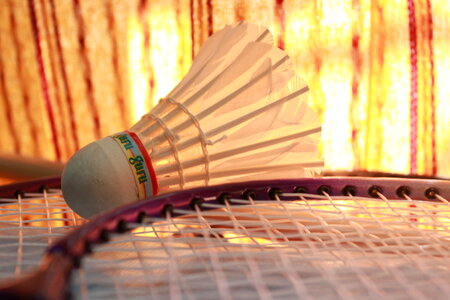Badminton Shuttle Cocks photo