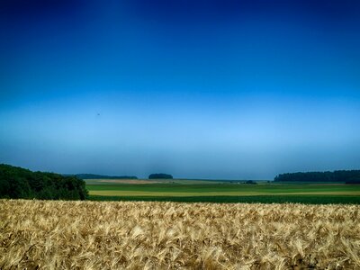 Wheat farm fields photo