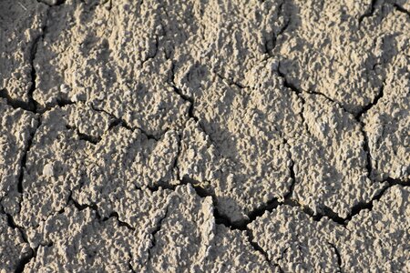 Dry drought shriveled from photo