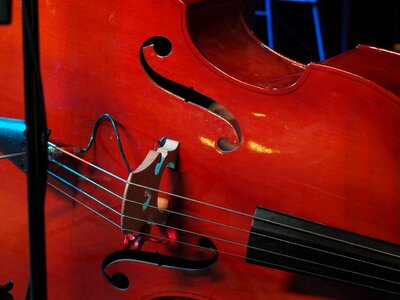 Music wood instrument