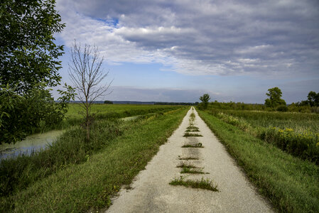 Old Marsh Road landscape under the sky photo