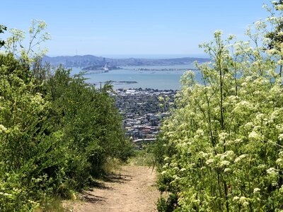 Hillside hilltop panorama