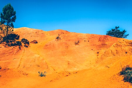 Bushes desert hill photo