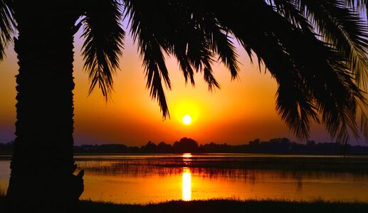 Dusk landscape nature