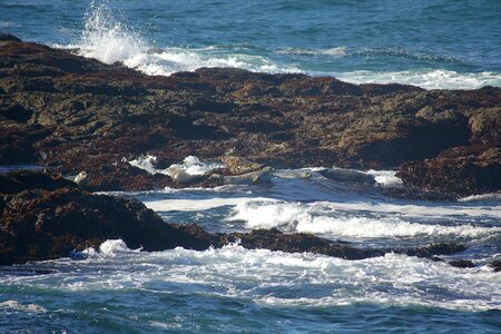 California fort bragg photo