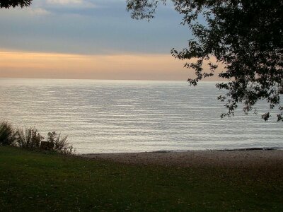 Tree coast dusk