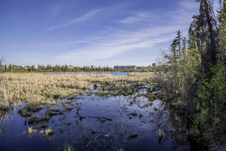 Marshland and wetlands under the skies in Yellowknife
