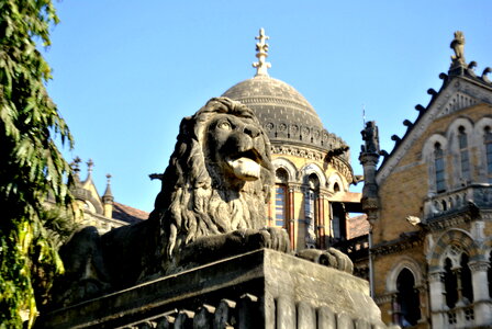 Lion Statue Close