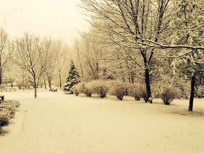 Nature cold season