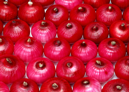 Red onions in plenty photo