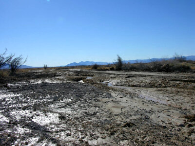 Flooded roadway in Ash Meadows National Wildlife Refuge. photo