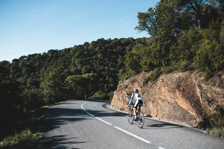 The Curve In The Road photo