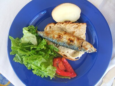 Plate seafood fresh photo