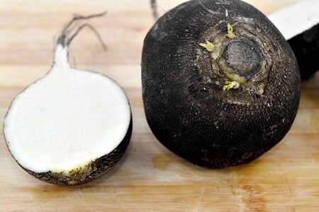Agriculture black radish
