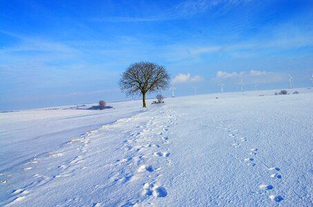 Cold white blue