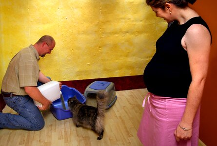 Husband looking pregnant