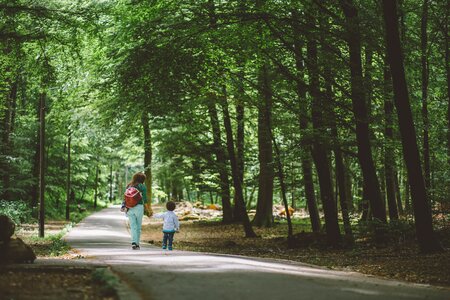 Woman and Child Walking in Park photo