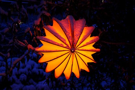 Snow lighting garden