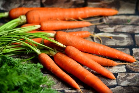 Fresh Carrots photo
