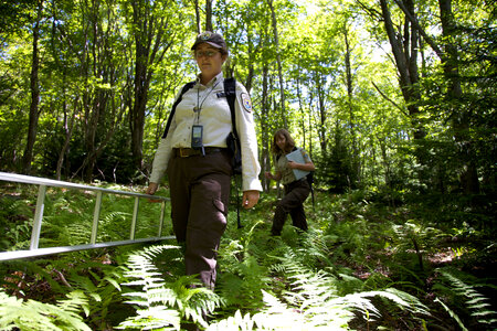 Checking Northern Flying Squirrel nest boxes