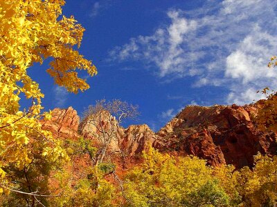 Domestic hill national park